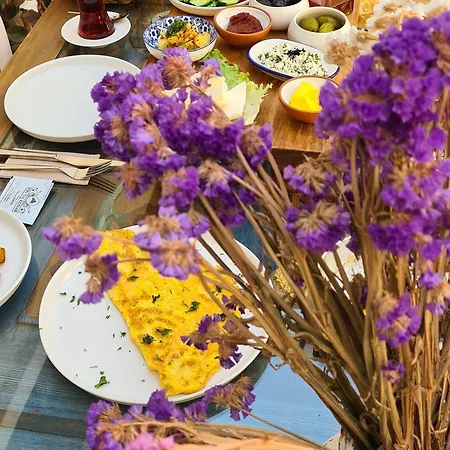 Szálloda 1870 Tas - Sanat Sokagi